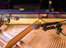 Load image into Gallery viewer, SCX25A Premium Large Diaphragm Condenser Microphone
