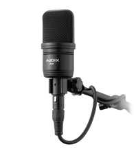 Load image into Gallery viewer, A131 Large Diaphragm Studio Microphone
