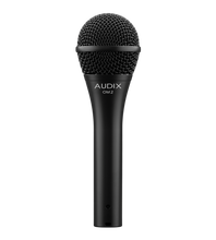 Load image into Gallery viewer, OM2 Dynamic Vocal Microphone
